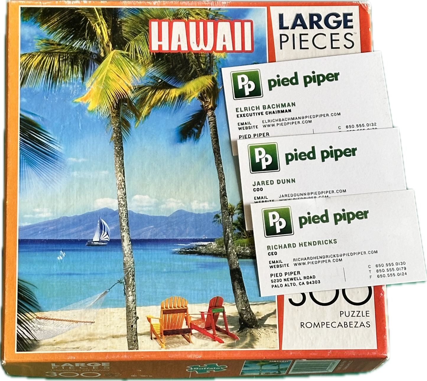 Silicon Valley: Richard’s Hacker Hostel Puzzle and Pied Piper and Team Cards