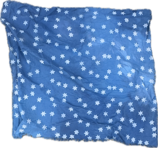 PARKS AND RECREATION: Leslie Knope blue star Pattern Scarf