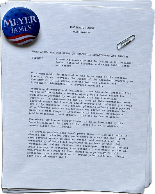 VEEP: Selina Meyer’s White House DEI Memorandum and Campaign Pin