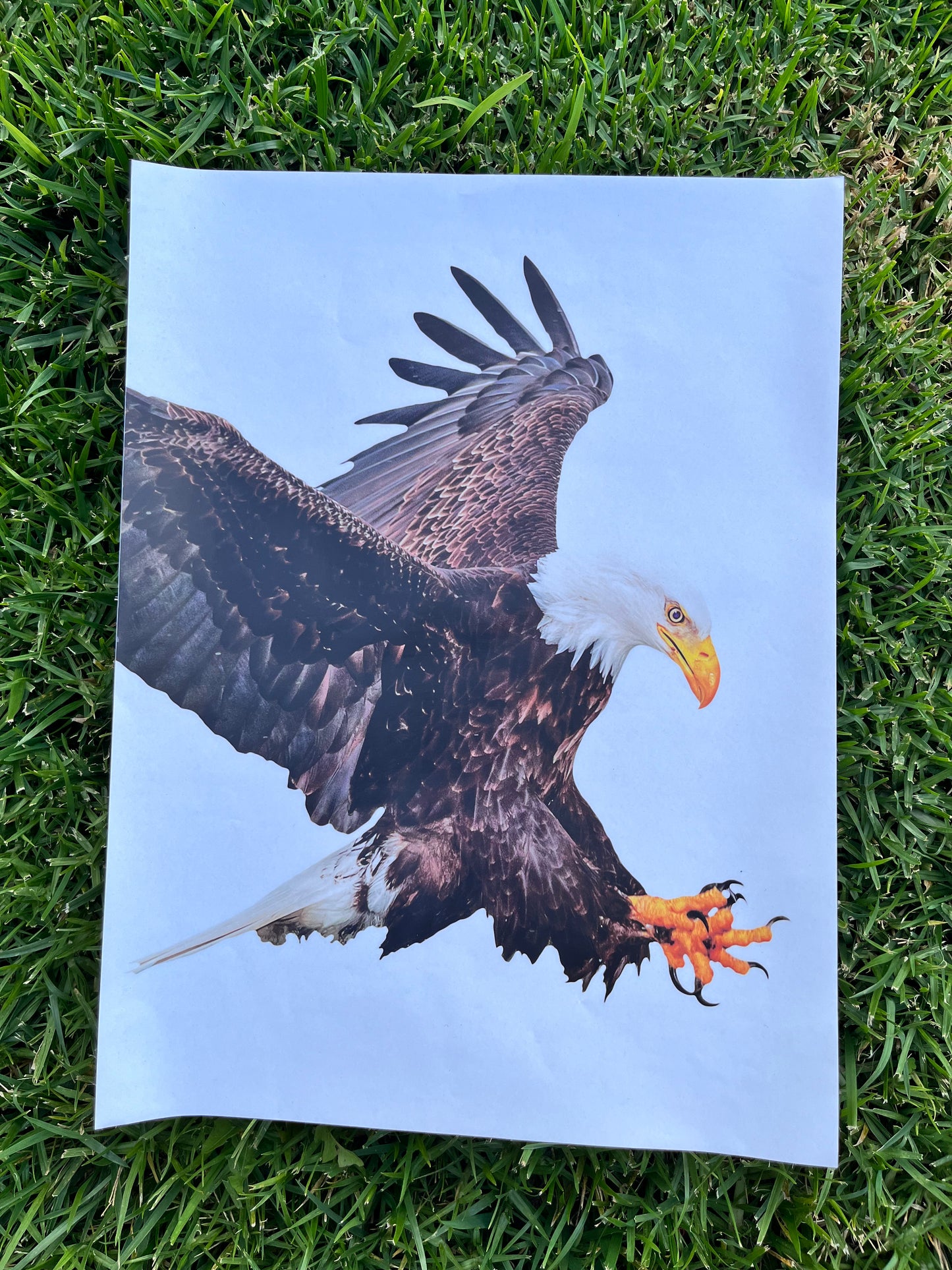 SONS OF ANARCHY: Jax American Flag & Eagle Teller Morrow Sticker