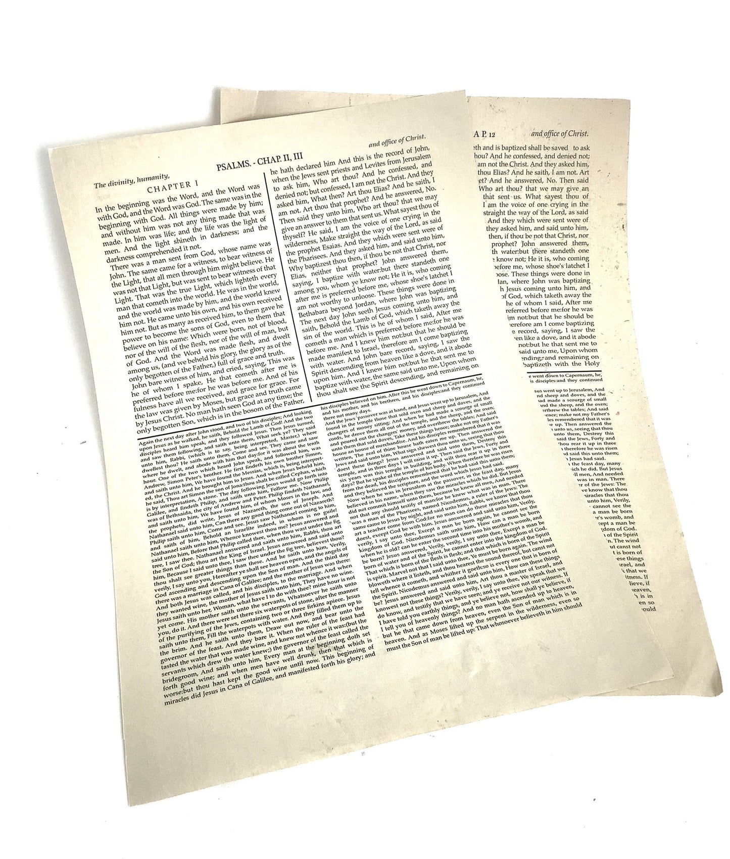 Salem: Cotton's Bible Pages