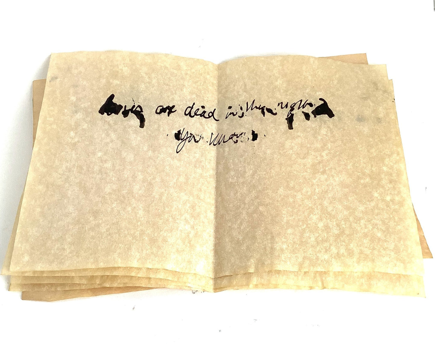 Salem: Anne's Salem Notes