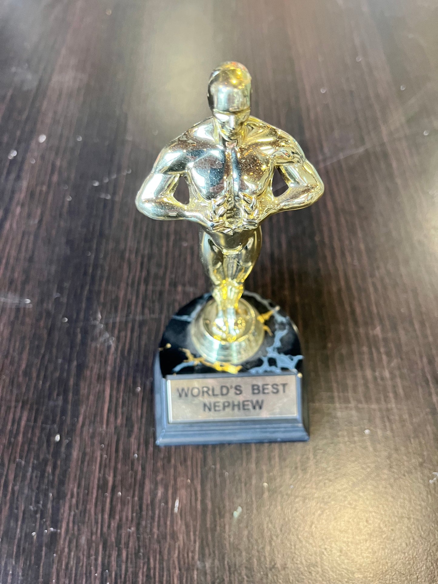 YOU'RE THE WORST: Jimmy's WORLD'S BEST NEPHEW Trophy