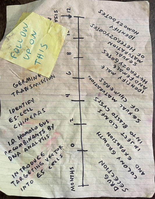 12 Monkeys: Director's Notebook Paper Season Events Timeline