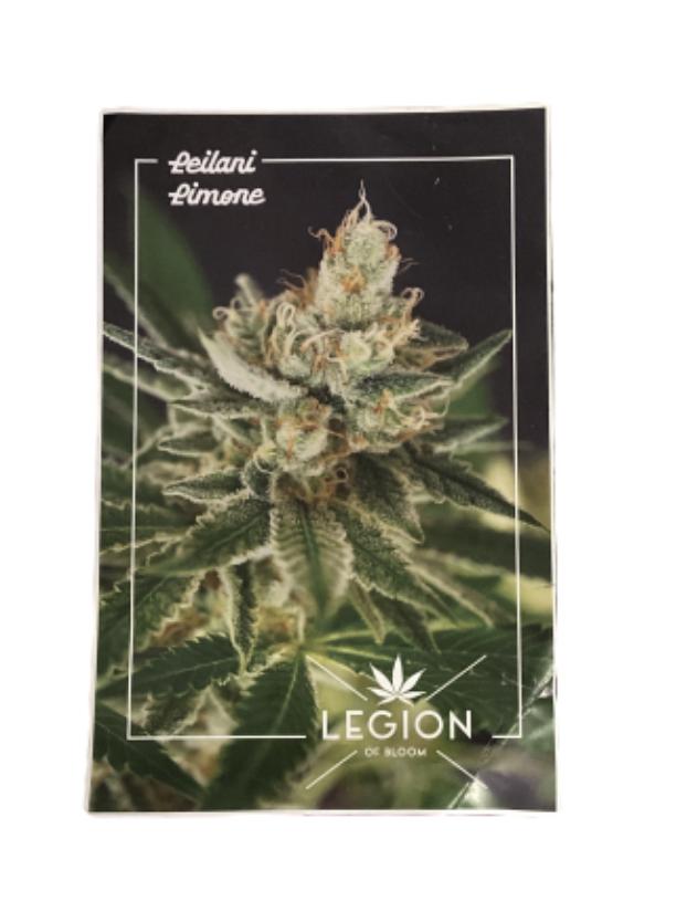 SILICON VALLEY: Erlich's HERO Legion of Bloom Leilani Limone Poster