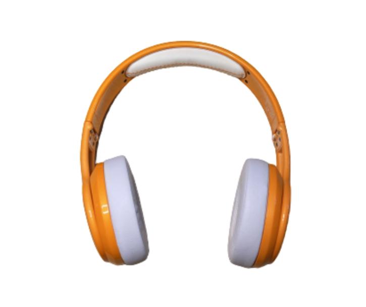 SILICON VALLEY: Dinesh's Ear Phones & Case