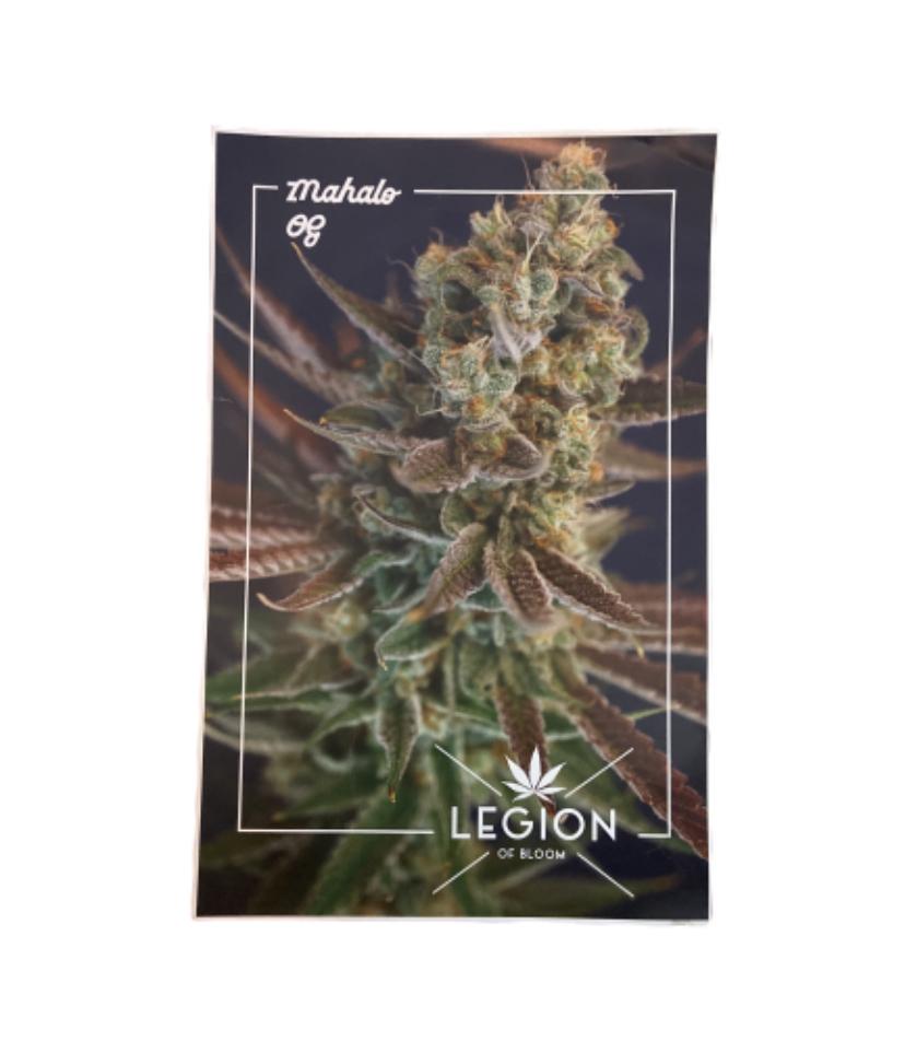 SILICON VALLEY: Erlich's HERO Legion of Bloom Mahalo OG Poster