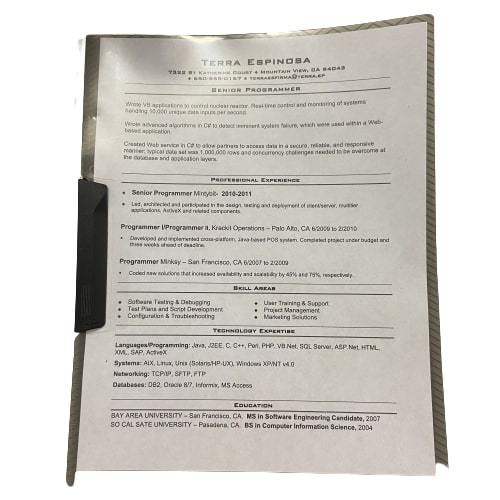 SILICON VALLEY: Terra Espinosa's Resume