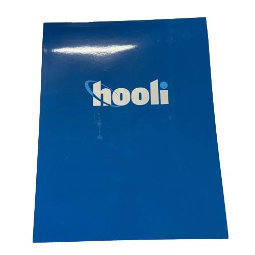 SILICON VALLEY: Gavin's Hooli Folder