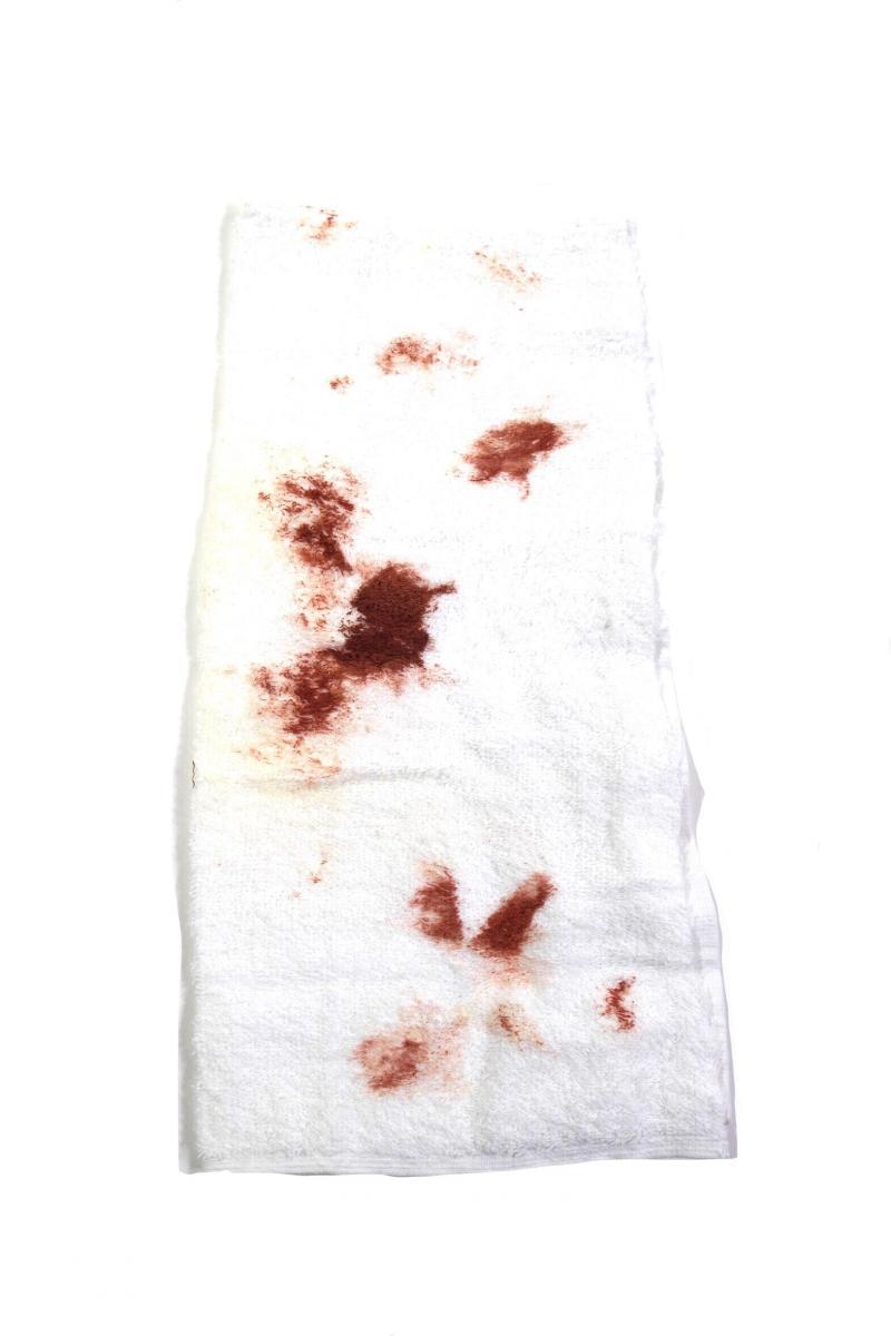 SILICON VALLEY: Richard's Bloody Nose Towel