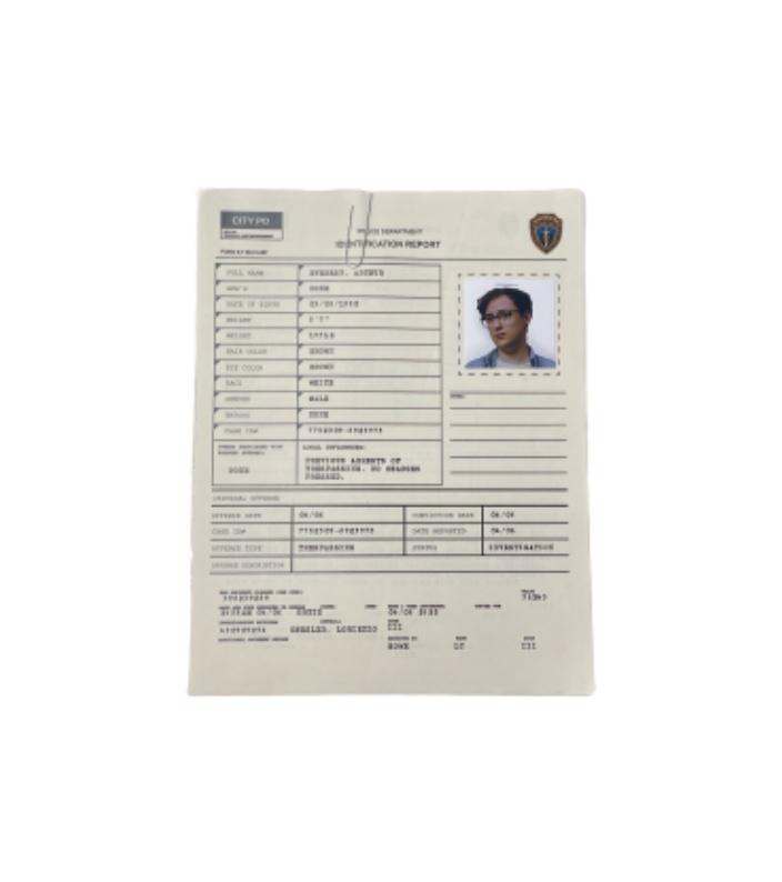 THE TICK: Arthur's  Police Report