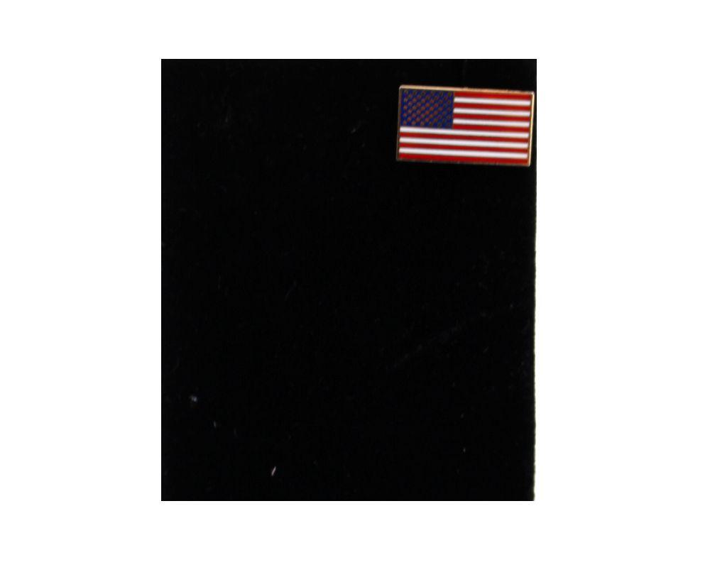 VEEP: Teddy's Flag Pin