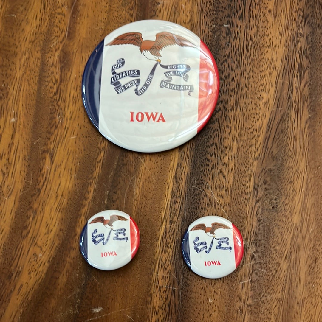 VEEP: Selina's IOWA Swag