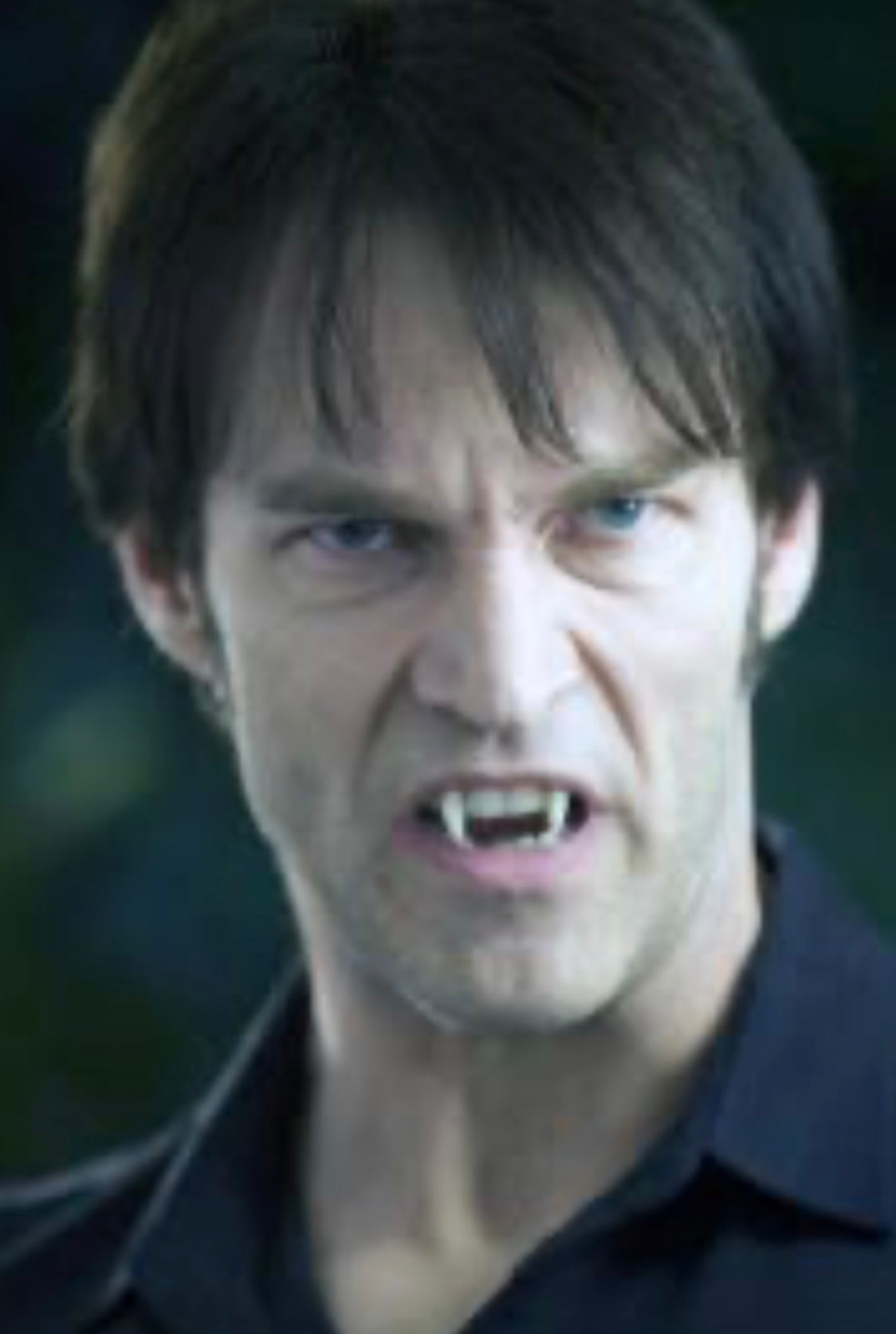 TRUE BLOOD: Bill Compton's Deer Antlers Hanging Trophy