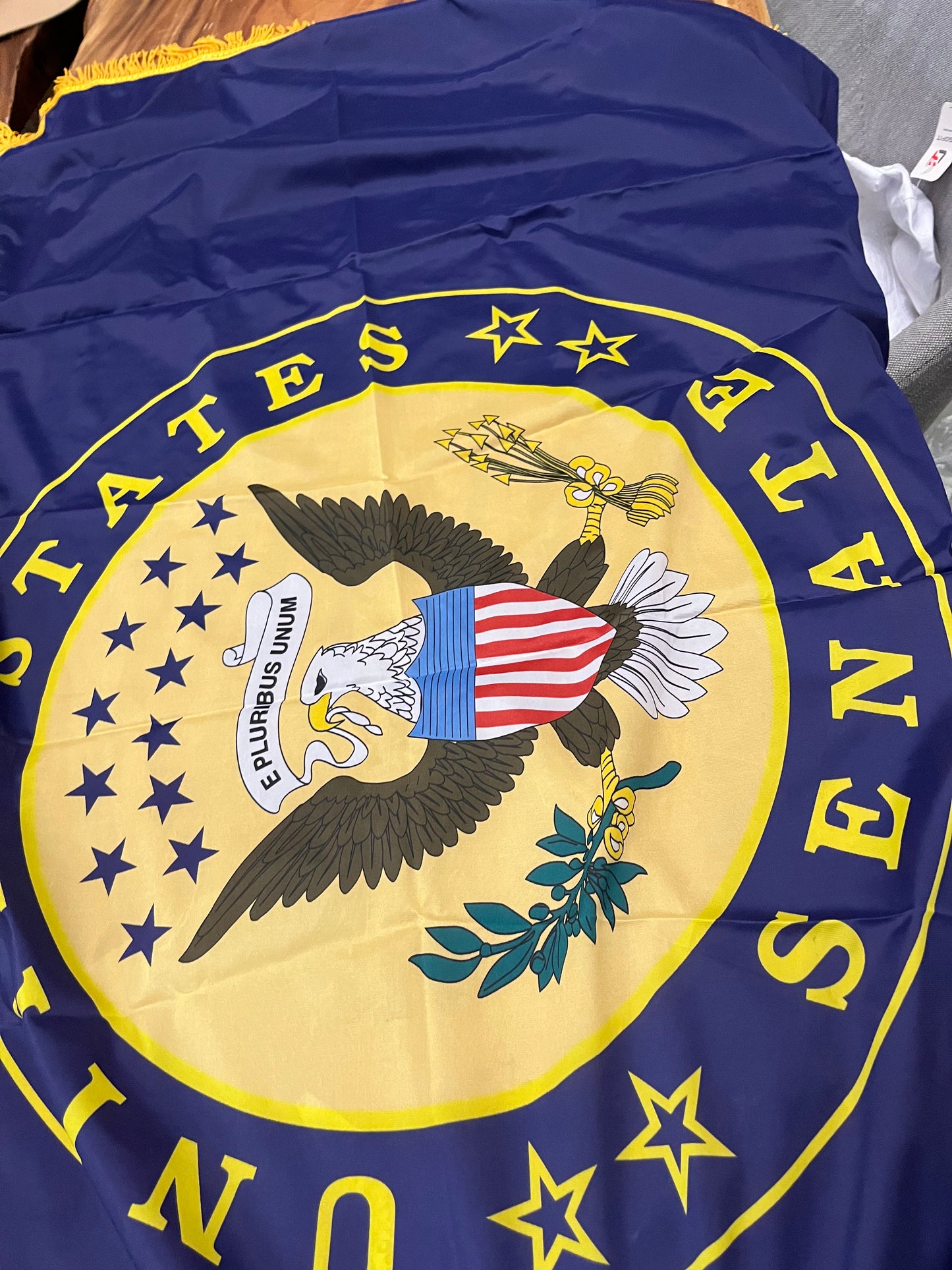 VEEP: Jonah's Whitehouse Hallway Fray Flag Set