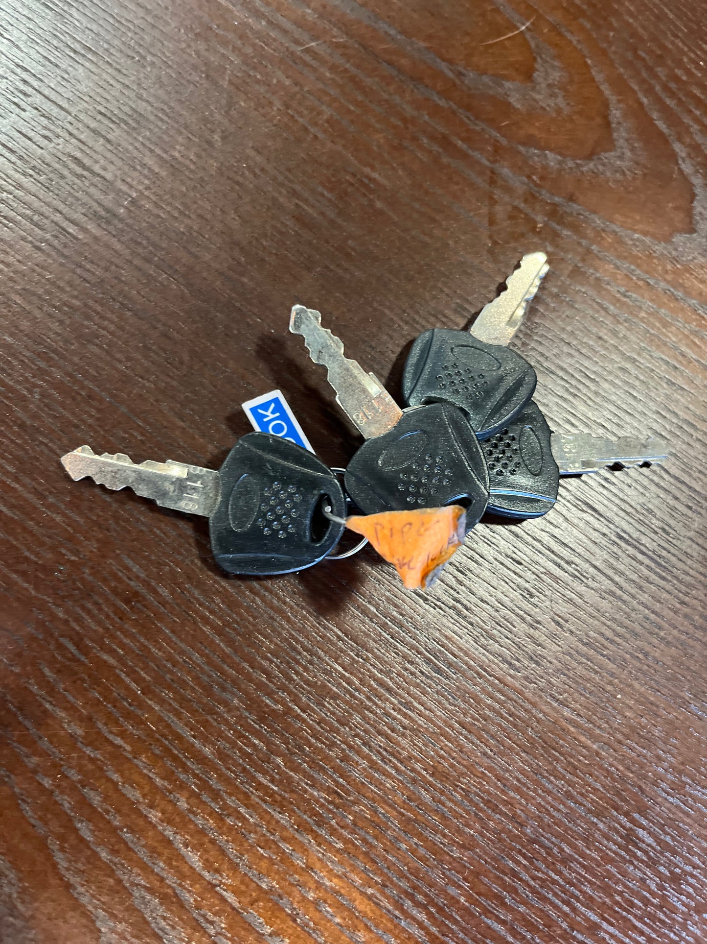 SILICON VALLEY: Richard's Hacker Hostel Keys