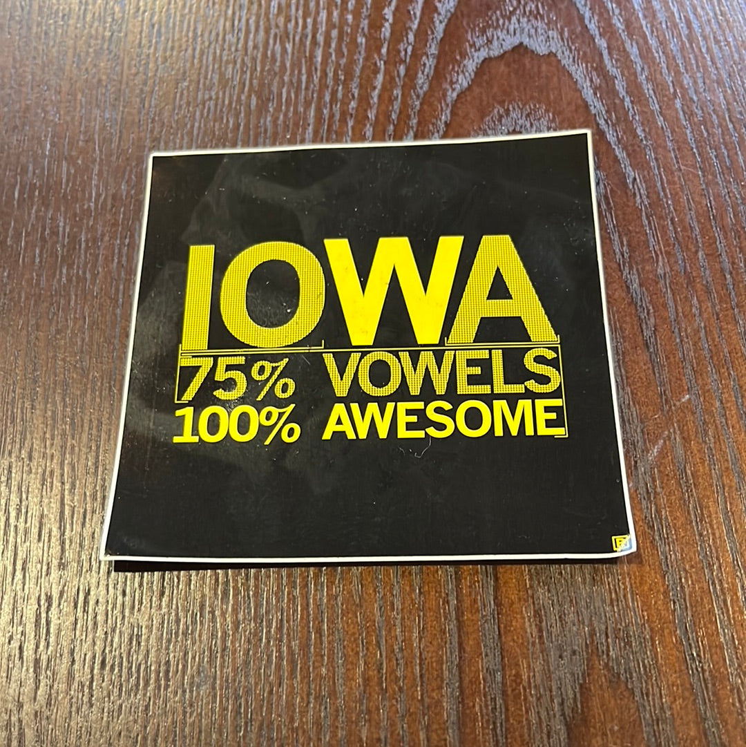 VEEP: Selina's IOWA Swag