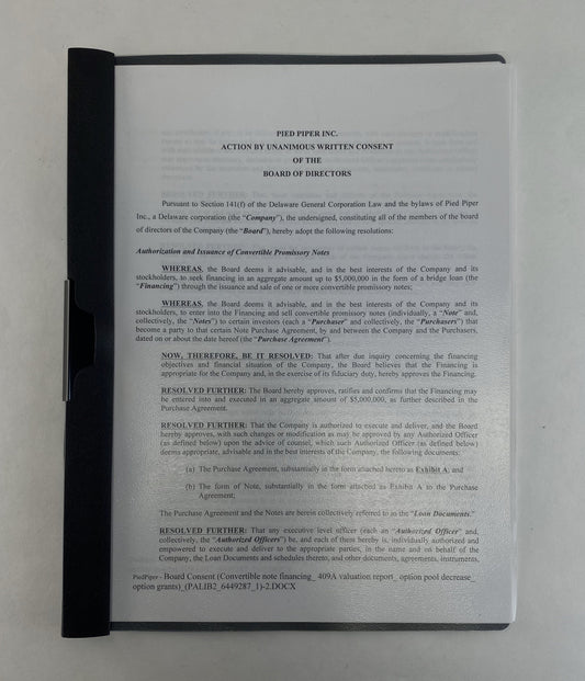 SILICON VALLEY: Pied Piper Action by Unanimous Written Consent of the Board of Directors