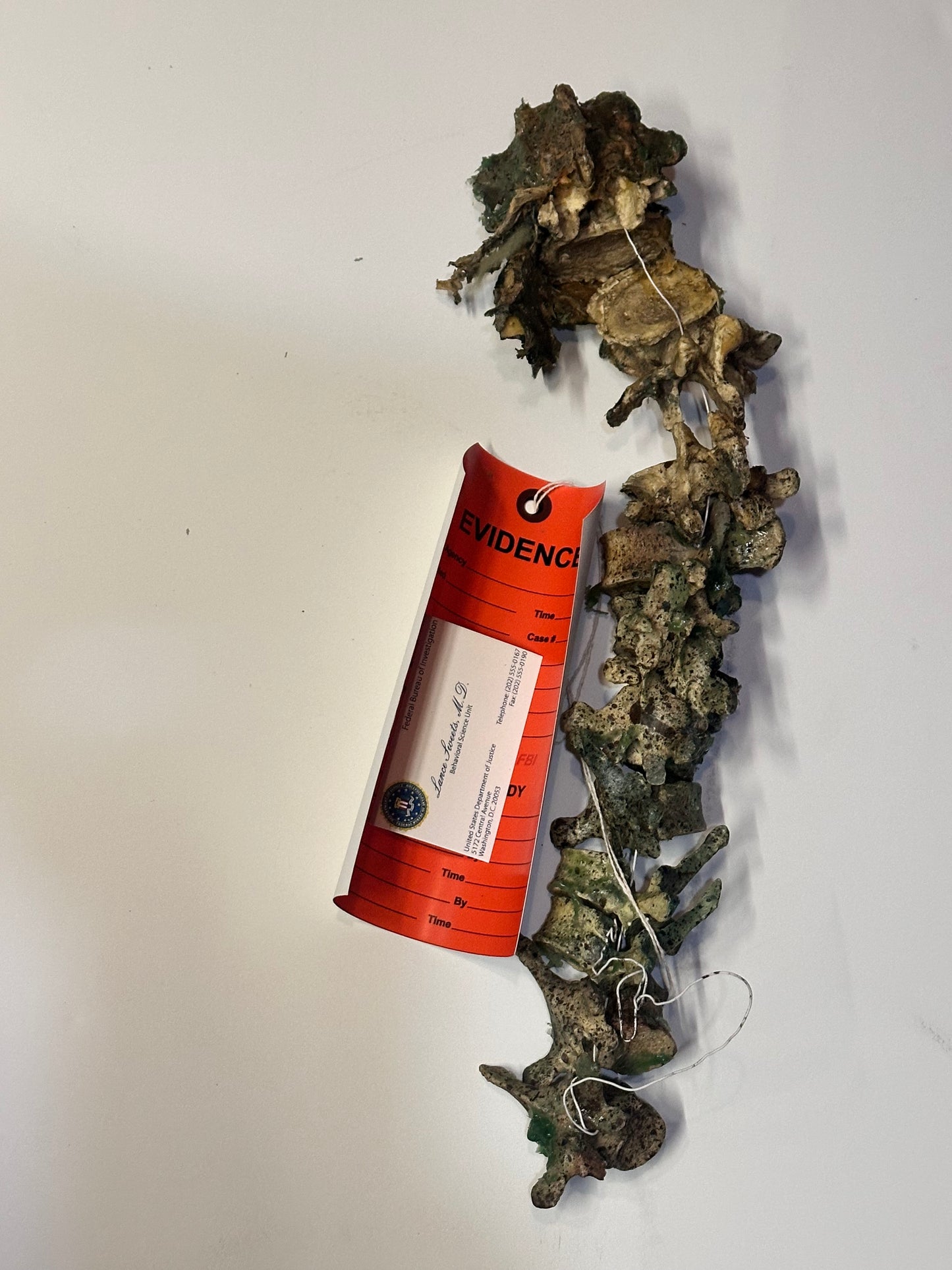 BONES: Dr Brennan's Bones Props with Evidence tag + Sweets’ business Card