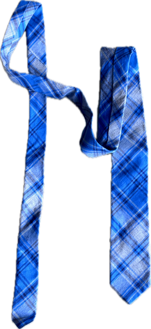 THE OFFICE: Andy’s Blue Plaid Striped Necktie