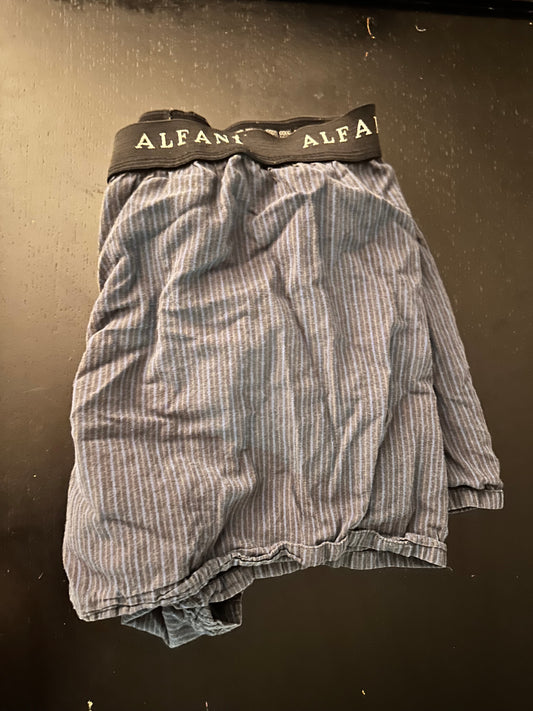 SILICON VALLEY: Erlich's Alfani Boxers