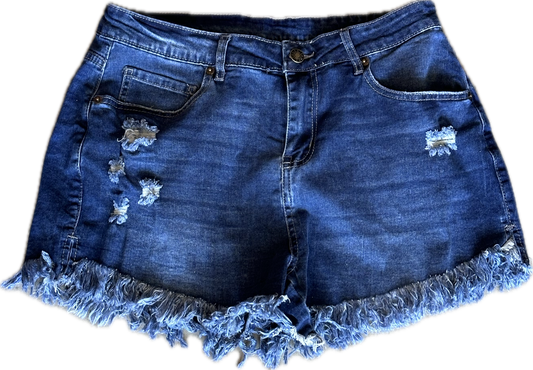 The Mindy Project: Mindy’s Blue Denim Cut off Shorts (L)