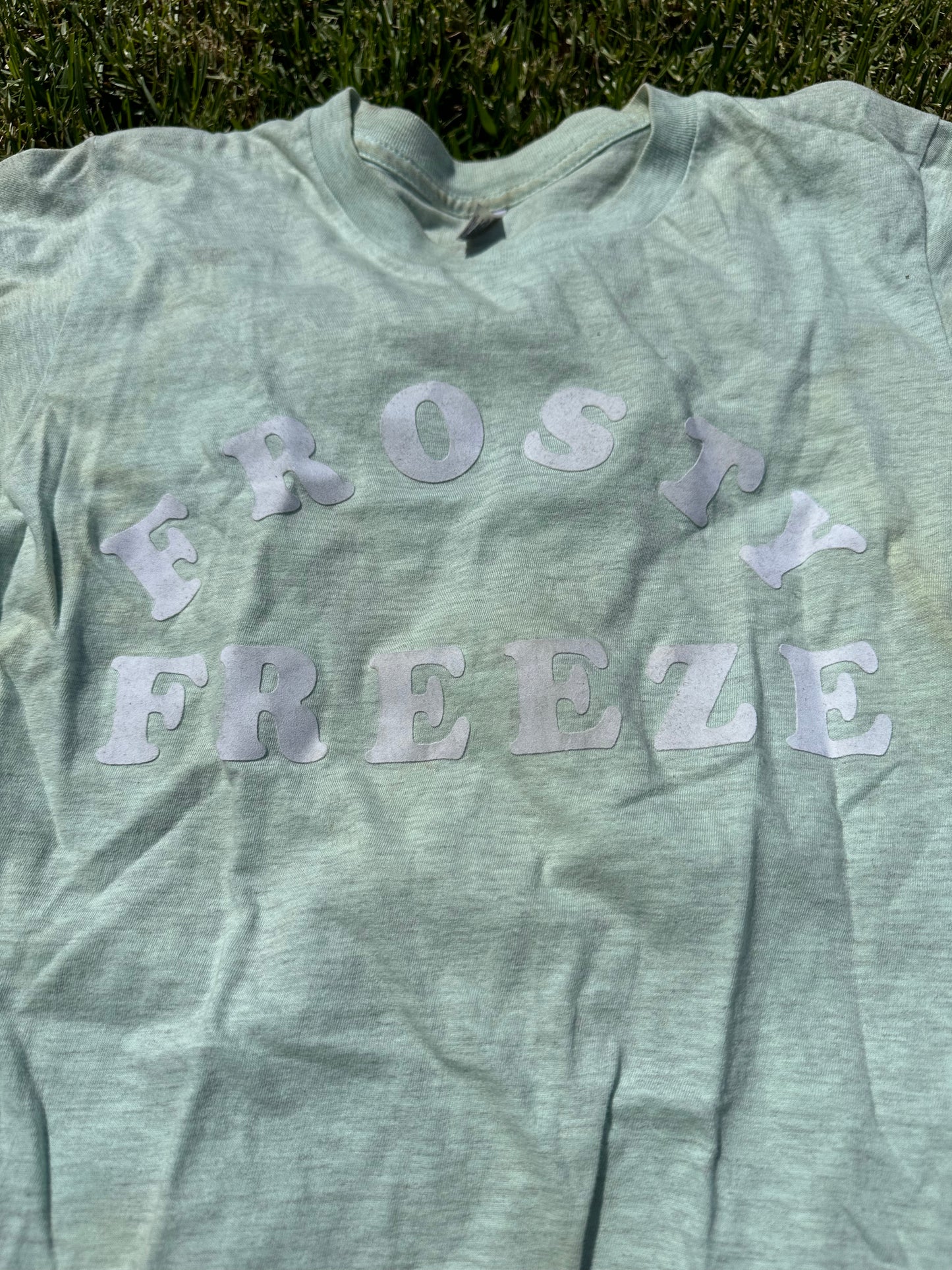 NEW GIRL: Jessica Day Frosty Freeze T-shirt (XS)