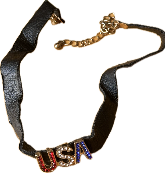 NEW GIRL: Jessica Day USA Choker Necklace