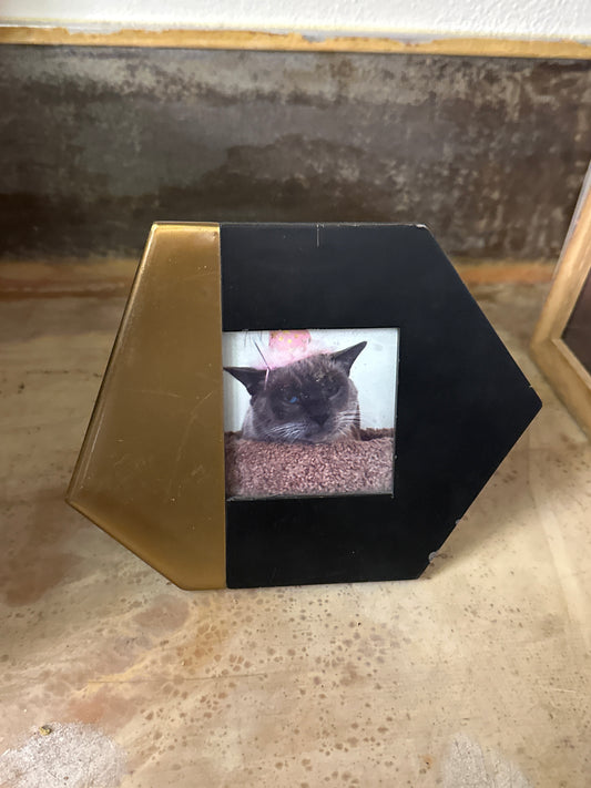 SILICON VALLEY: Monica Hall's On Screen Cat Personal Picture in Office