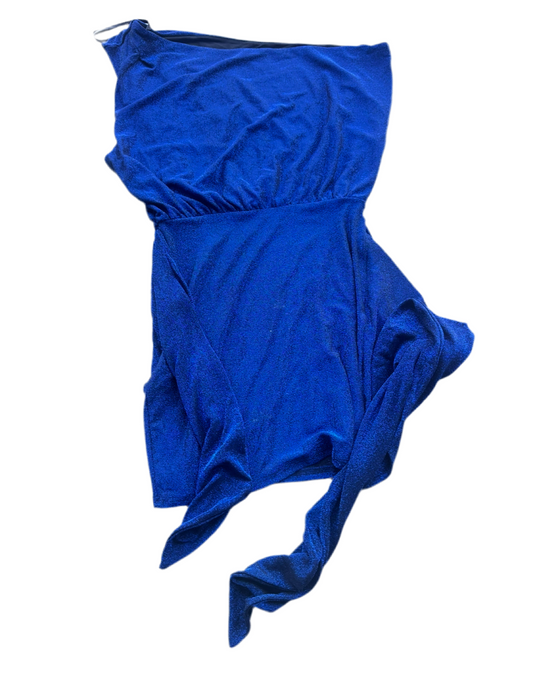 BONES: Dr. Brennan's Blue Designer Dress (8)