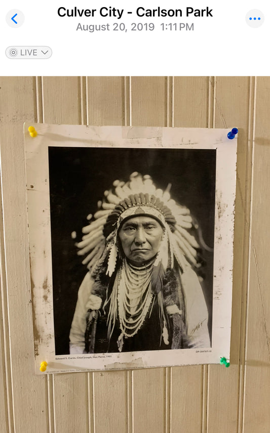 SILICON VALLEY: Erlich’s Hacker Hostel HERO Chief Indian Poster