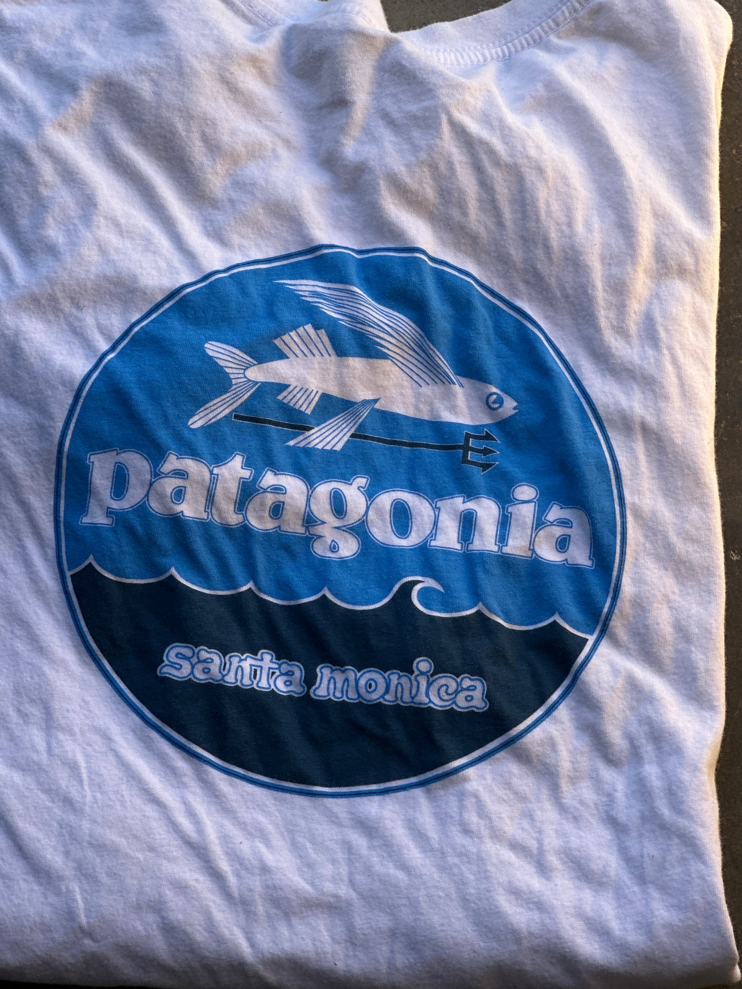 SILICON VALLEY: Richard Hendrick's Pantagonia Tee (S)