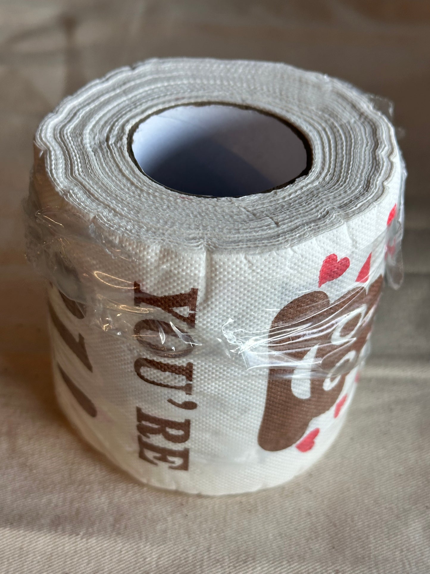 SILICON VALLEY: Hacker Hostel HERO Final Season and Episode Toilet Paper Rolls