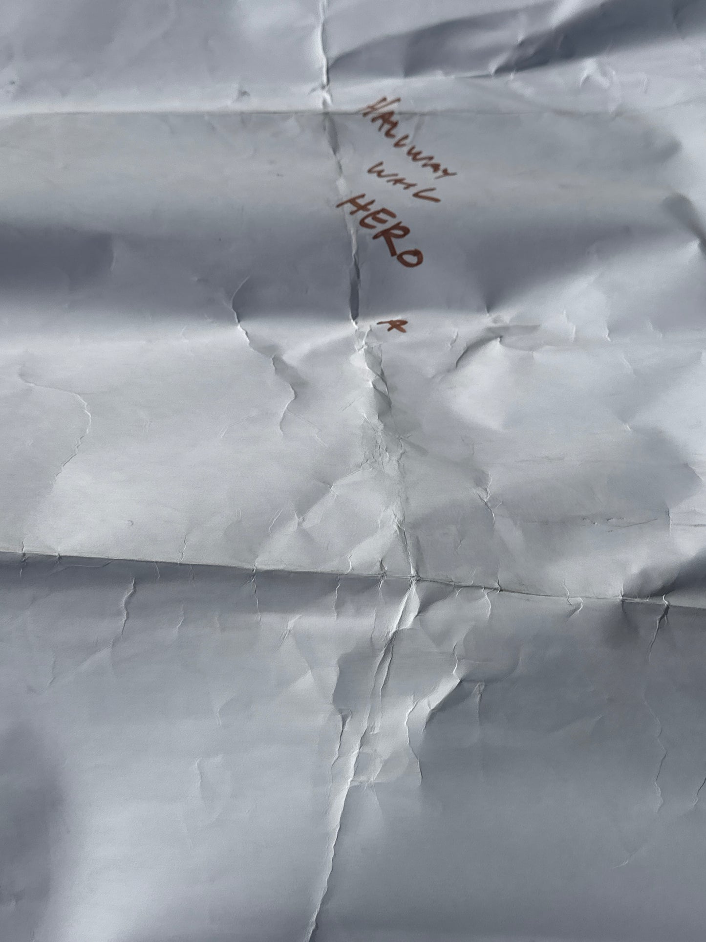 SILICON VALLEY: Erlich's HERO Hacker Hostel Entrance Wall Legion of Bloom Poster