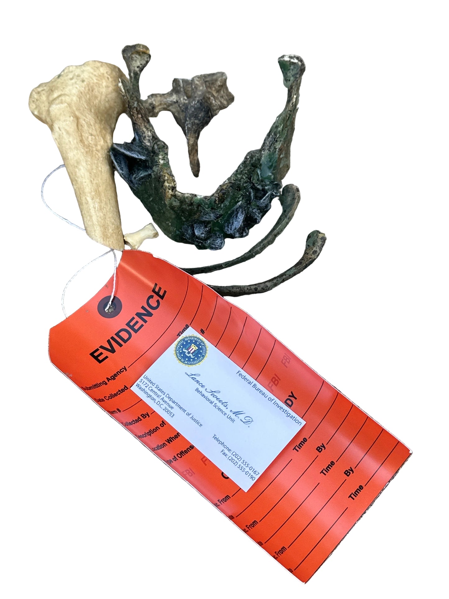 BONES: Dr Brennan's Bones Props with Evidence tag + Sweets’ business Card