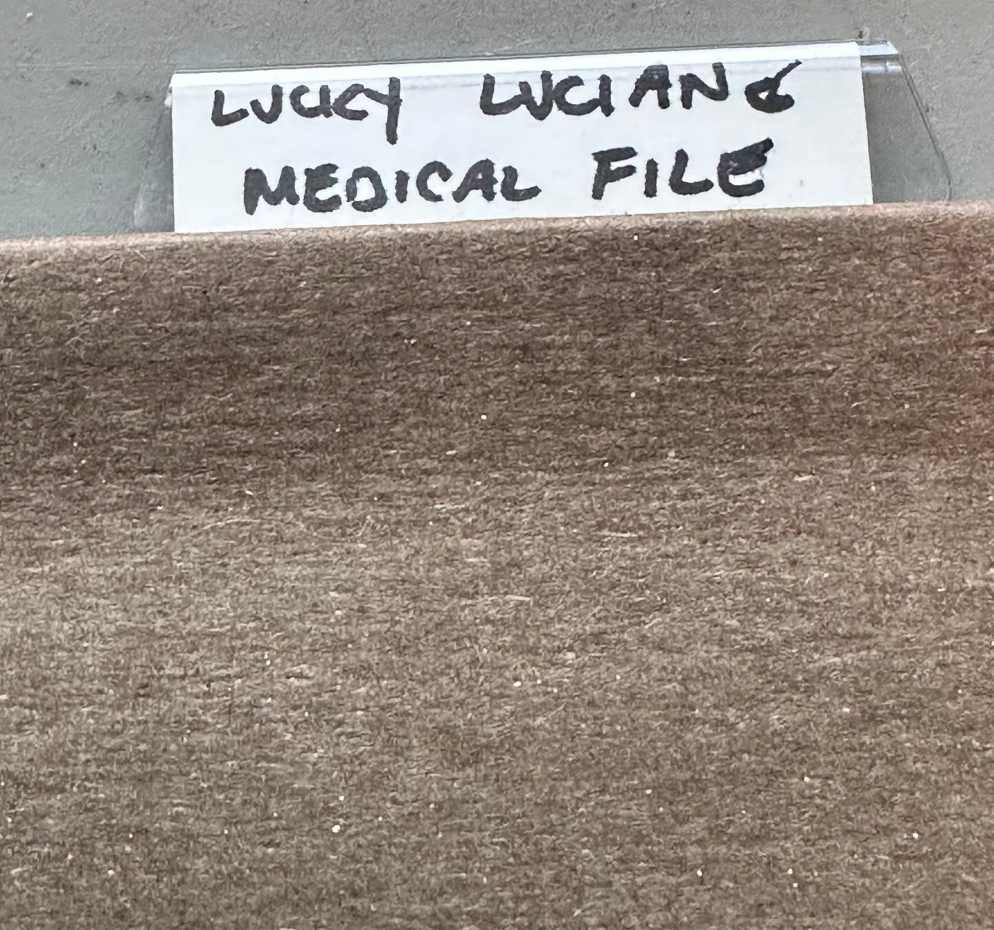 BOARDWALK EMPIRE: Key Cast and Scene HERO Set Decoration Paperwork