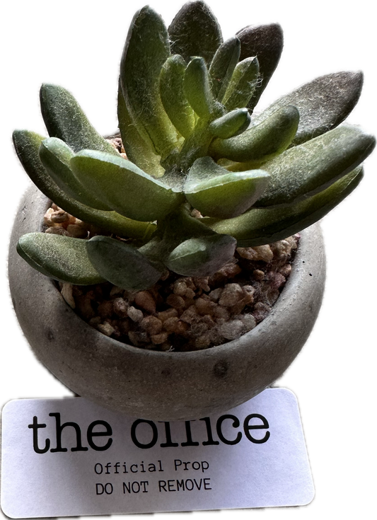 THE OFFICE: Pam’s Faux Plant