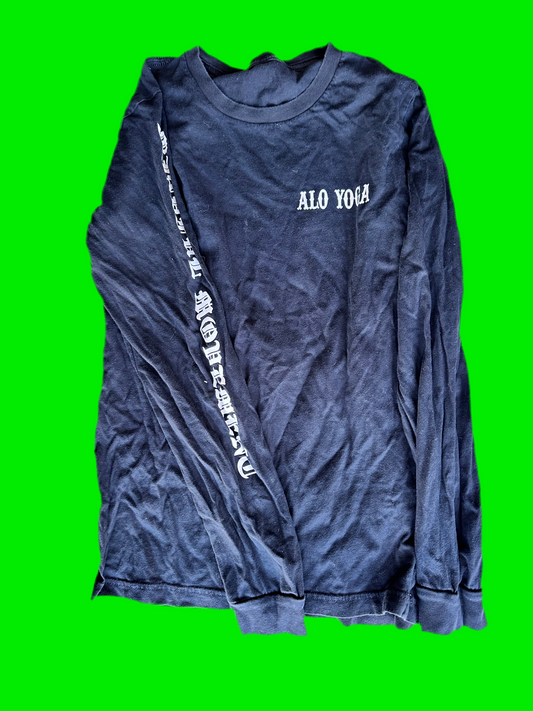 SILICON VALLEY: Richard Hendrick's ALO LS Tee (S)