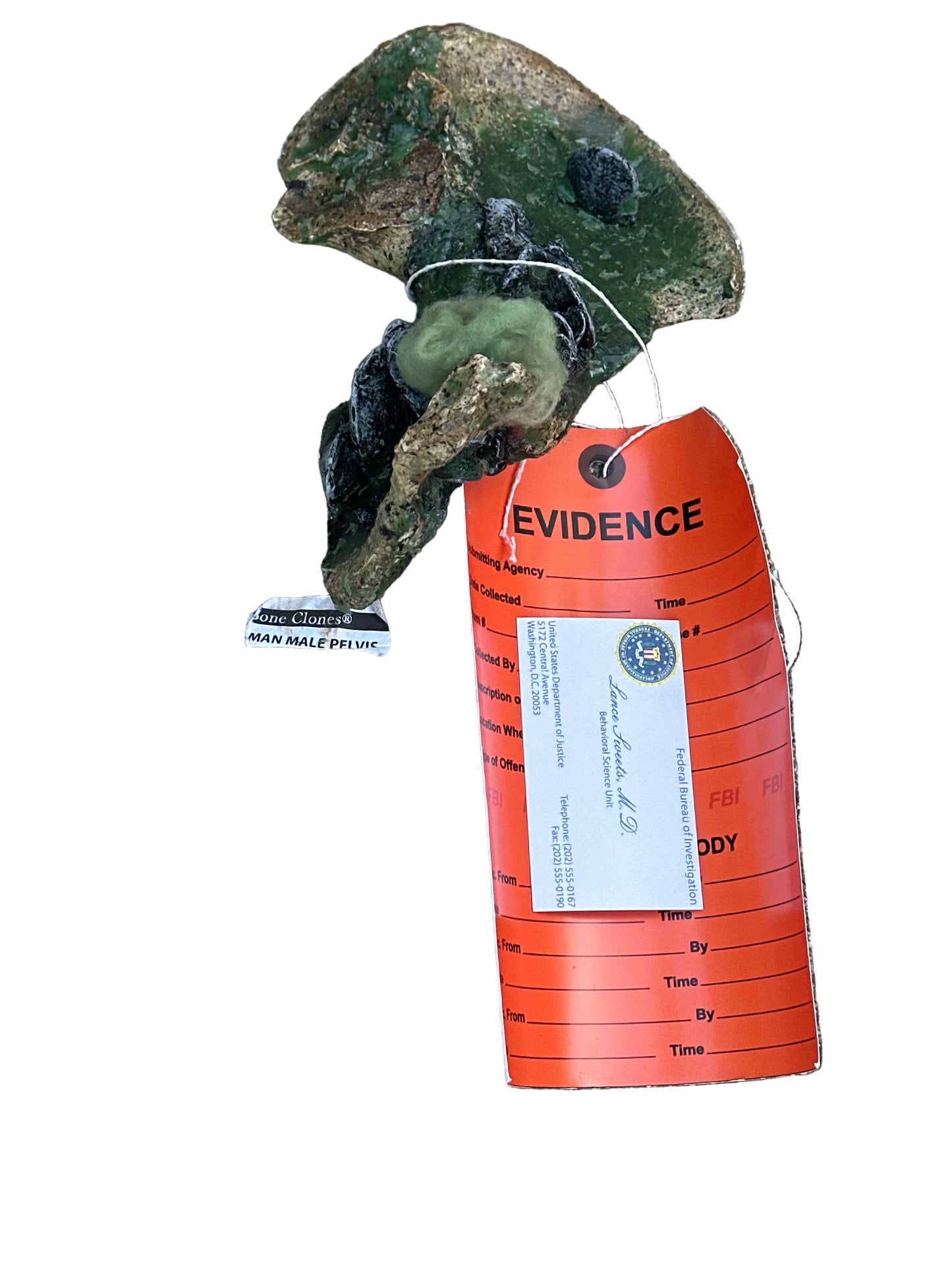 BONES: Dr Brennan's Bones Props with Evidence tag + Sweets’ business Card