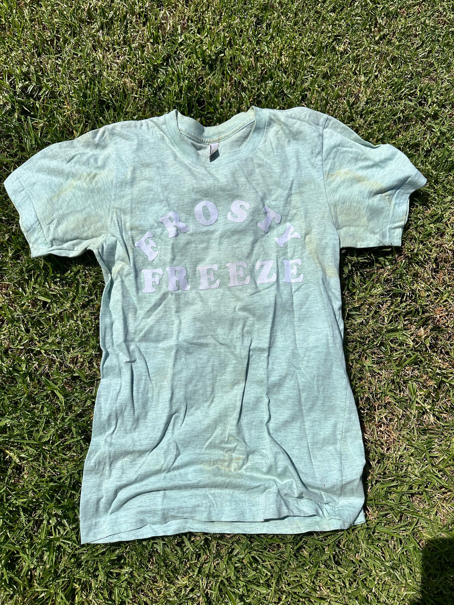 NEW GIRL: Jessica Day Frosty Freeze T-shirt (XS)