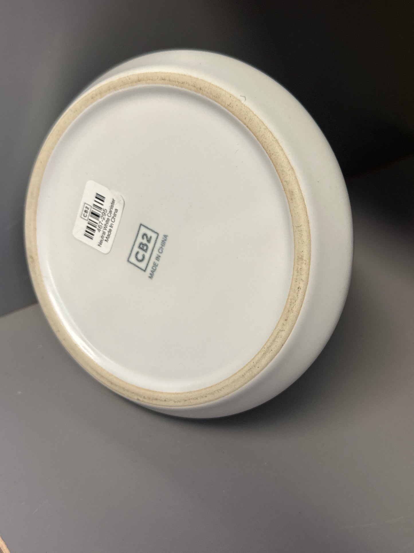 SILICON VALLEY: Monica’s HERO Office White CB2 Canister