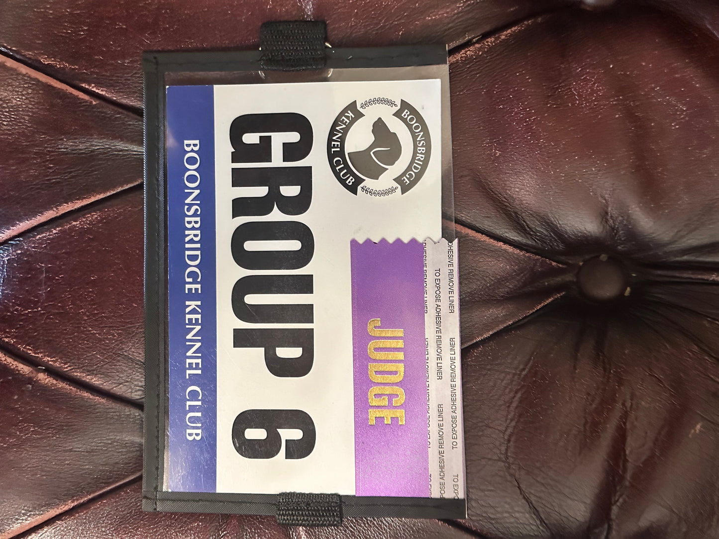 PARKS AND RECREATION: BOONSBRIDGE KENNEL CLUB GROUP HERO Participant Number Badge