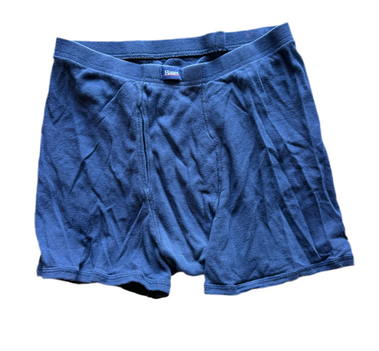 SILICON VALLEY: Jian-Yang HERO Hanes Brief Shorts (S)