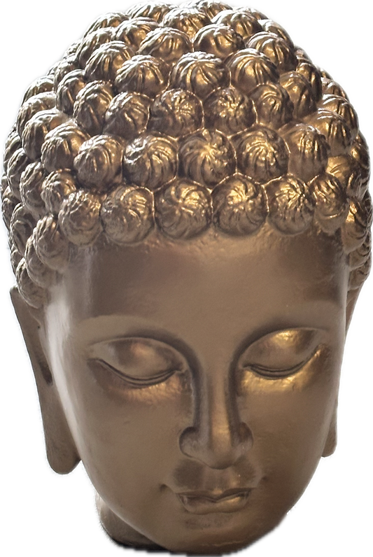 HOUSE: Dr Gregory House HERO Buddha Head