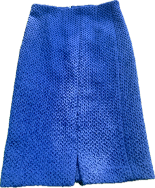 PARKS AND RECREATION: Leslie Knope ANN TAYLOR Skirt (6)