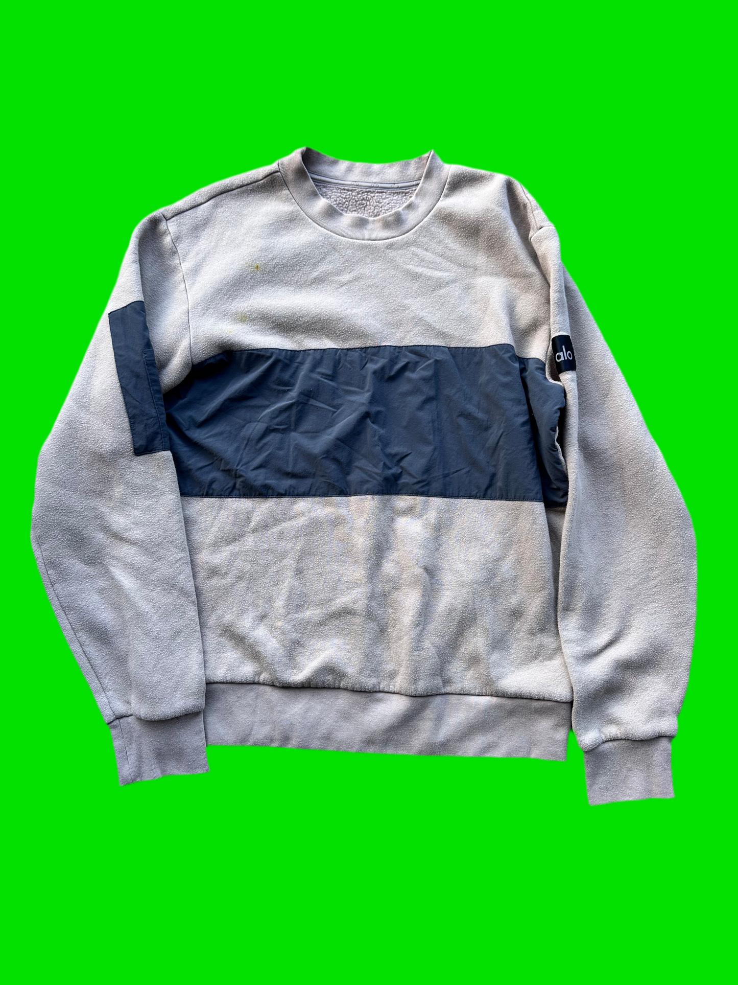 SILICON VALLEY: Richard Hendrick's ALO LS Crewneck Shirt (S)