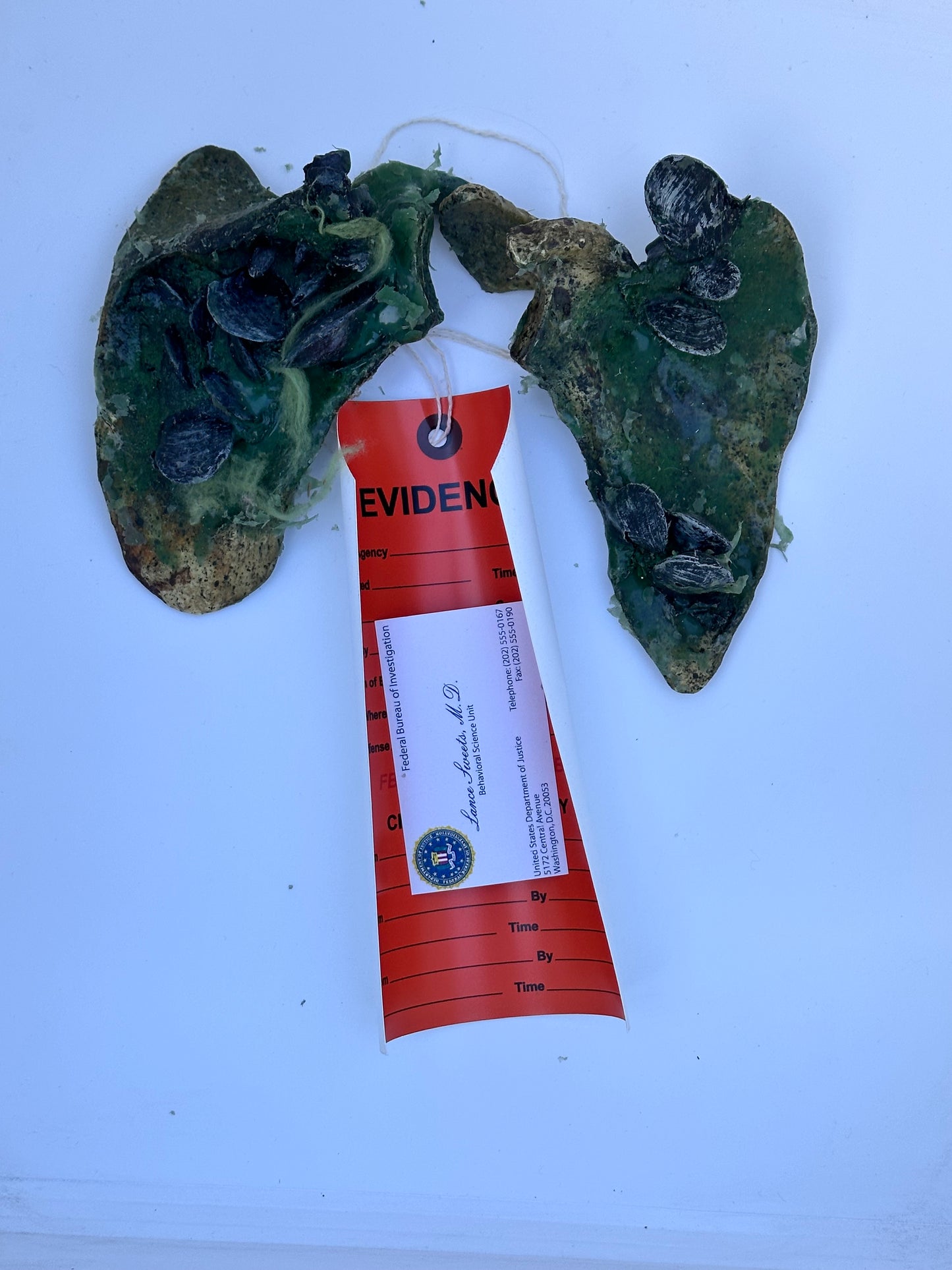 BONES: Dr Brennan's Bones Props with Evidence tag + Sweets’ business Card