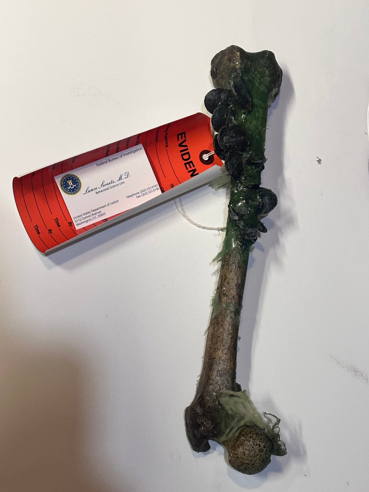 BONES: Dr Brennan's Bones Props with Evidence tag + Sweets’ business Card