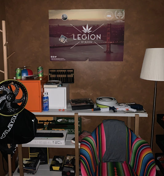 SILICON VALLEY: Erlich’s Hacker HERO Hostel Legion of Bloom Poster
