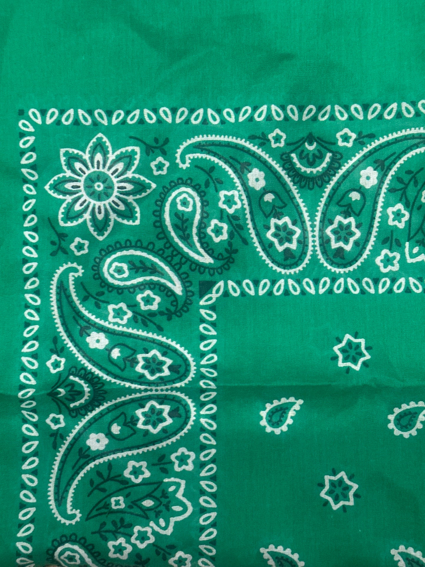 THE OFFICE: Dwight’s Ep. 611 Green Bandana